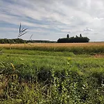 Prázdninový dům Anna - Austrian In Marchfeld Im Weinviertel *