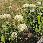 Prázdninový dům Anna - Austrian In Marchfeld Im Weinviertel