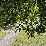 Anna - Austrian In Marchfeld Im Weinviertel Prázdninový dům