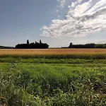Anna - Austrian In Marchfeld Im Weinviertel