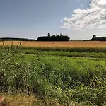 Anna - Austrian In Marchfeld Im Weinviertel