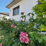Anna - Austrian In Marchfeld Im Weinviertel