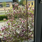 Prázdninový dům Anna - Austrian In Marchfeld Im Weinviertel
