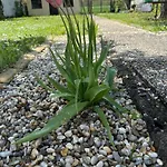 Prázdninový dům Anna - Austrian In Marchfeld Im Weinviertel Marchegg