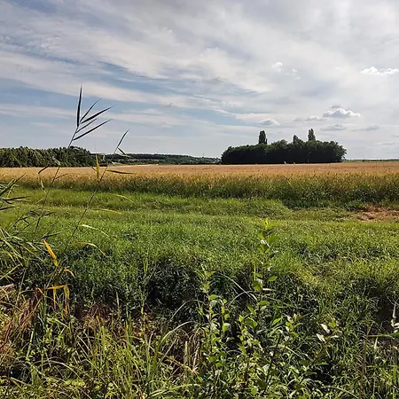 Semesterbostad Anna - Austrian In Marchfeld Im Weinviertel *