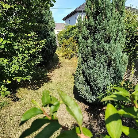 Anna - Austrian In Marchfeld Im Weinviertel Semesterbostad