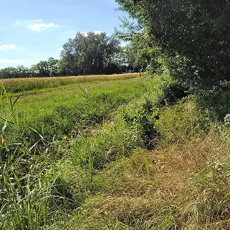 Casa de Férias Anna - Austrian In Marchfeld Im Weinviertel *