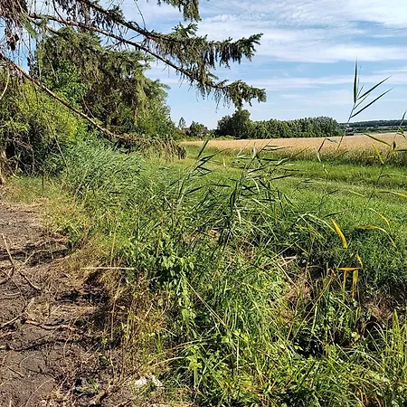 Casa de Férias Anna - Austrian In Marchfeld Im Weinviertel Marchegg