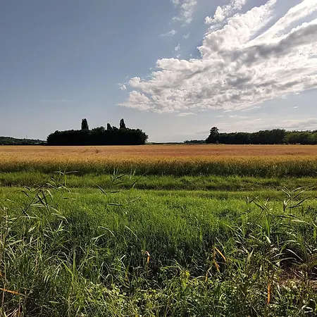 Anna - Austrian In Marchfeld Im Weinviertel