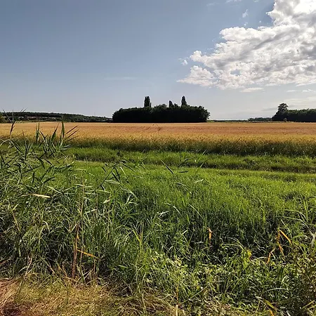 Anna - Austrian In Marchfeld Im Weinviertel