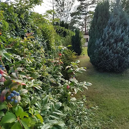 Semesterbostad Anna - Austrian In Marchfeld Im Weinviertel *