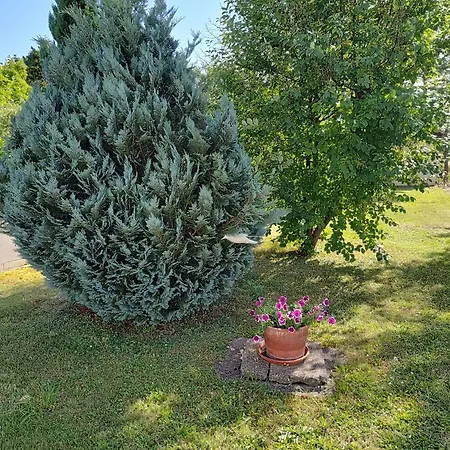 Anna - Austrian In Marchfeld Im Weinviertel * Marchegg