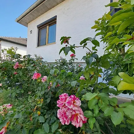Anna - Austrian In Marchfeld Im Weinviertel