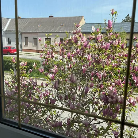 Anna - Austrian In Marchfeld Im Weinviertel Marchegg