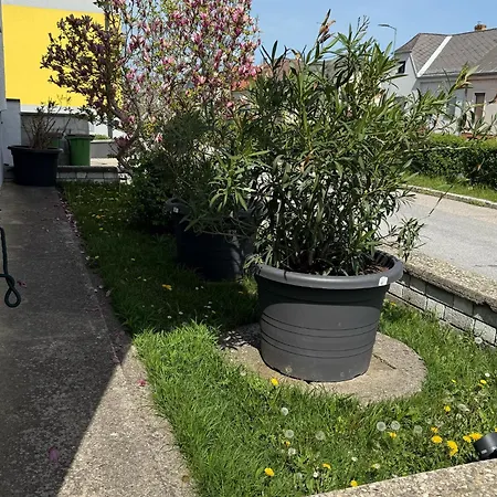 Anna - Austrian In Marchfeld Im Weinviertel *