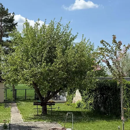 Anna - Austrian In Marchfeld Im Weinviertel