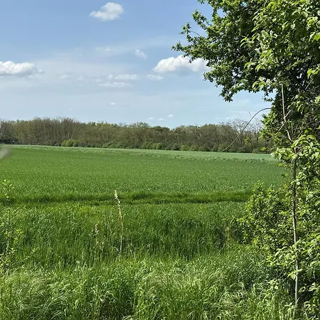 Casa de Férias Anna - Austrian In Marchfeld Im Weinviertel