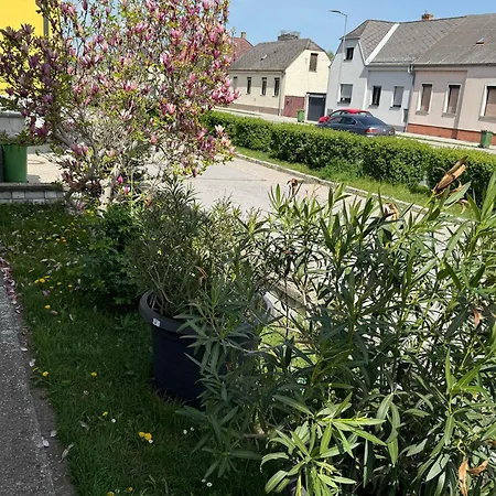 Anna - Austrian In Marchfeld Im Weinviertel Semesterbostad *