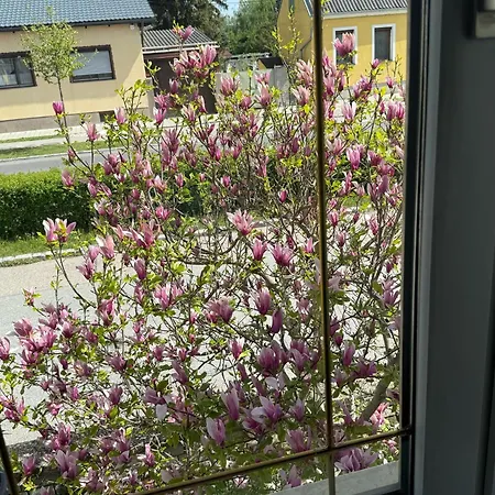 Casa de Férias Anna - Austrian In Marchfeld Im Weinviertel