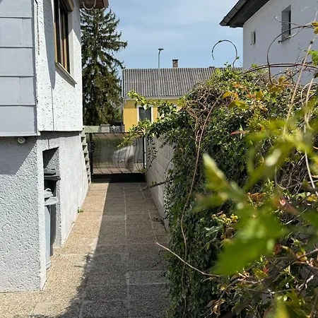 Anna - Austrian In Marchfeld Im Weinviertel