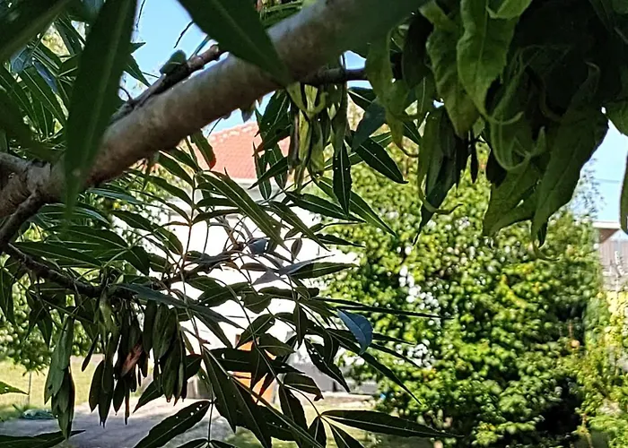 Anna - Austrian In Marchfeld Im Weinviertel *