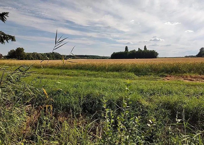 Casa vacanze Anna - Austrian In Marchfeld Im Weinviertel *