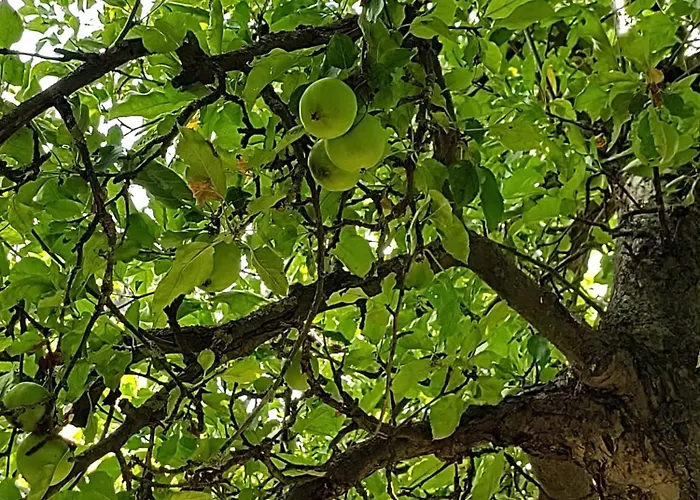 Casa vacanze Anna - Austrian In Marchfeld Im Weinviertel Marchegg