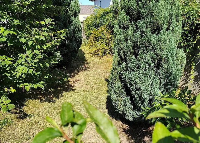 Anna - Austrian In Marchfeld Im Weinviertel Casa vacanze