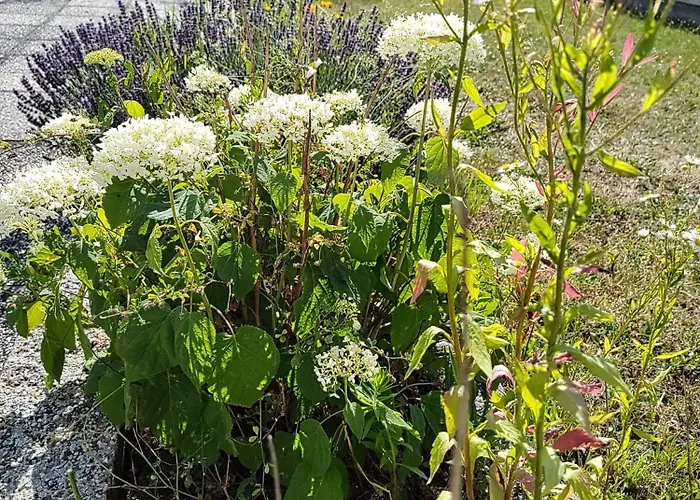 Anna - Austrian In Marchfeld Im Weinviertel Casa vacanze *