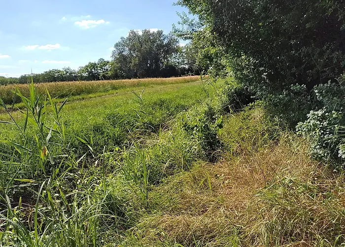 Casa vacanze Anna - Austrian In Marchfeld Im Weinviertel *