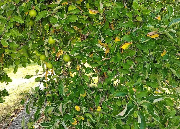 Anna - Austrian In Marchfeld Im Weinviertel Casa vacanze Marchegg