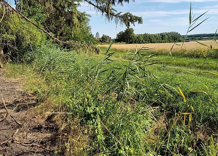 Casa vacanze Anna - Austrian In Marchfeld Im Weinviertel Marchegg