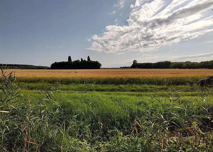 Anna - Austrian In Marchfeld Im Weinviertel