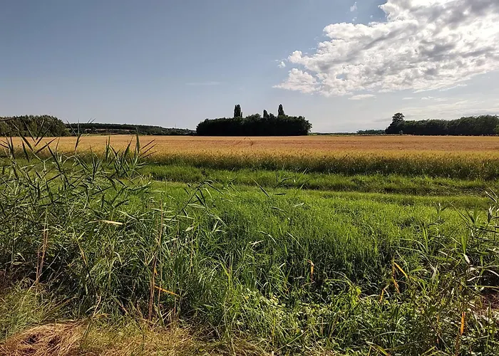 Anna - Austrian In Marchfeld Im Weinviertel