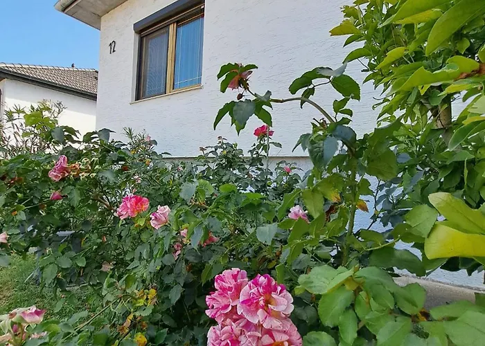 Anna - Austrian In Marchfeld Im Weinviertel