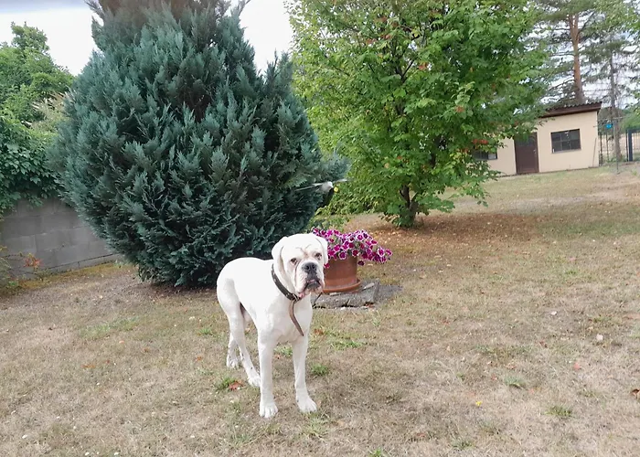 Anna - Austrian In Marchfeld Im Weinviertel