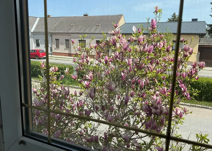 Anna - Austrian In Marchfeld Im Weinviertel Marchegg