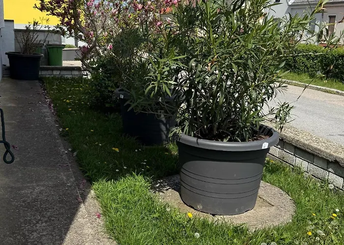 Anna - Austrian In Marchfeld Im Weinviertel *