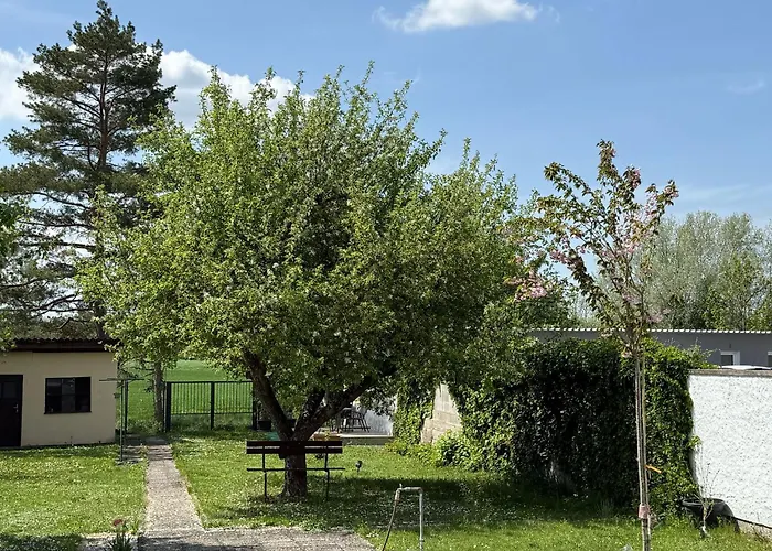 Anna - Austrian In Marchfeld Im Weinviertel