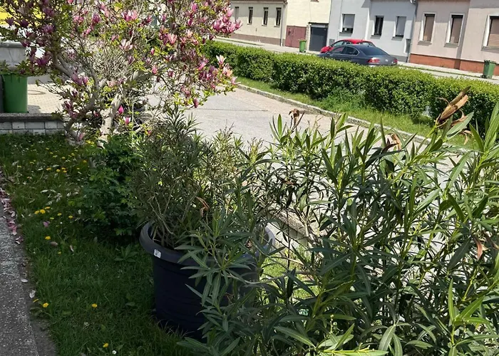 Anna - Austrian In Marchfeld Im Weinviertel Casa vacanze *