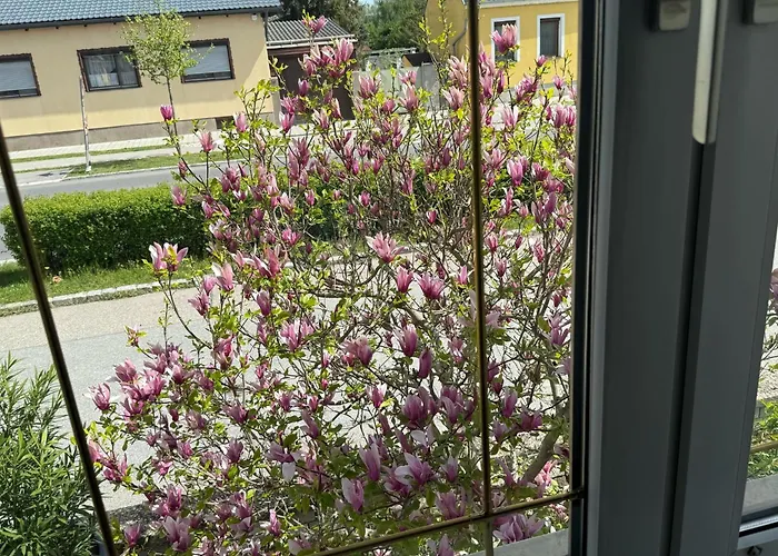 Casa vacanze Anna - Austrian In Marchfeld Im Weinviertel