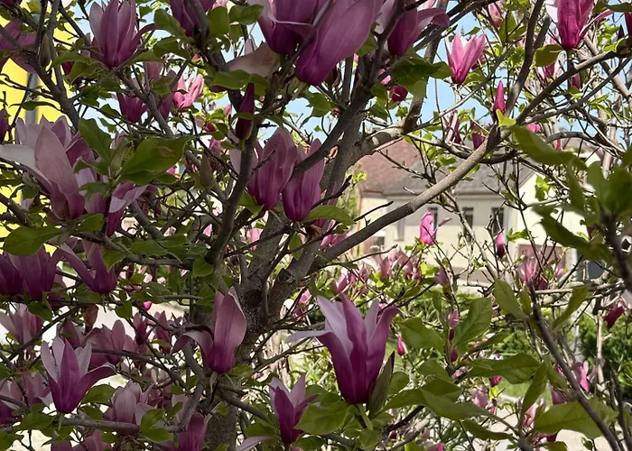 Casa vacanze Anna - Austrian In Marchfeld Im Weinviertel *