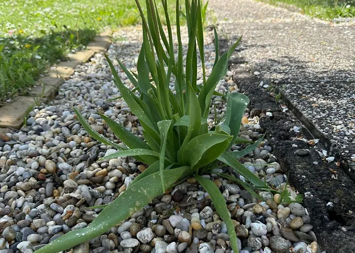 Casa vacanze Anna - Austrian In Marchfeld Im Weinviertel Marchegg